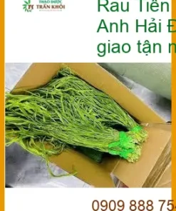 Rau Tiến Vua làm nộm 500g giá tốt - Bán Sỉ lẻ tại Bình Trưng Tây Giao nhanh