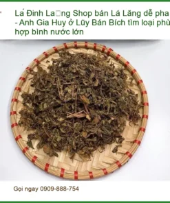 Lá Đinh Lăng 1kg dễ pha - Anh Gia Huy Lũy Bán Bích | TPHCM Sỉ Lẻ Giao Nhanh