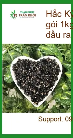 Trà Hắc Kỷ Tử thơm ngon chuẩn vị sấy khô gói 1kg - Địa chỉ Bán Giao nhanh