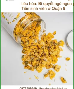 Trà hoa cúc vàng khô 1kg kích thích tiêu hóa - Đơn vị TPHCM Có sẵn
