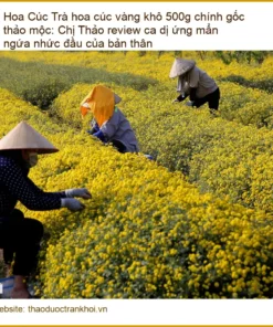 Trà hoa cúc vàng khô 500g chính gốc thảo mộc: Chị Thảo review ca dị ứng mẩn ngứa nhức đầu của bản thân - Địa chỉ bán giao nhanh TPHCM