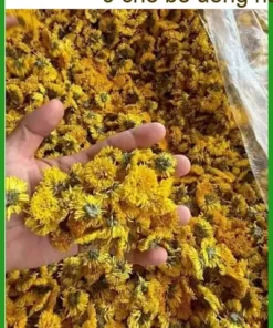 Trà hoa cúc vàng sấy lạnh 500g giải độc mát gan - Địa chỉ bán giao nhanh TPHCM
