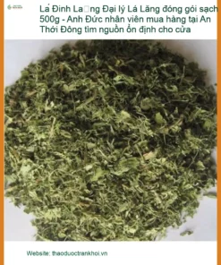 Đại lý Lá Đinh Lăng đóng gói sạch 500g - Đơn vị Cung cấp Giao nhanh tại TPHCM