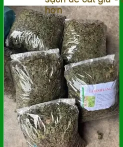 Đại lý Lá Đinh Lăng loại 1 500g - Địa chỉ Bán Sỉ lẻ Giao nhanh TPHCM