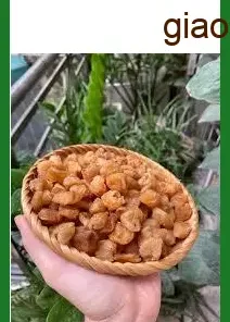 Đại lý Long Nhãn cùi đều 1kg - Địa chỉ Cung cấp Sỉ lẻ Giao nhanh TPHCM