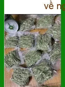 Đại lý Rau Tiến Vua dễ sơ chế 1kg - Cung cấp Sỉ lẻ Giao nhanh TPHCM