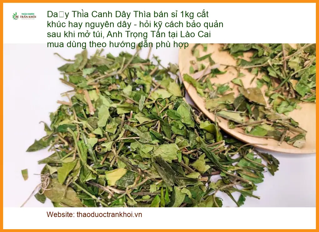 Dây Thìa Canh bán sỉ 1kg cắt khúc hay nguyên dây - Sài Gòn Cung cấp Có sẵn
