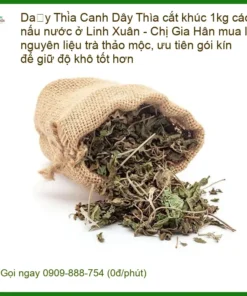 Dây Thìa Canh cắt khúc 1kg tại Linh Xuân - Địa chỉ bán có sẵn TPHCM