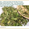Dây Thìa Canh loại đẹp 500g - Địa chỉ bán sỉ lẻ giao nhanh tại TPHCM