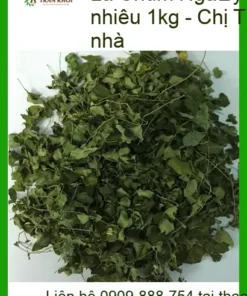 Giá Lá Chùm Ngây khô bao nhiêu 1kg - Chị Thảo mua về dùng dần tại nhà