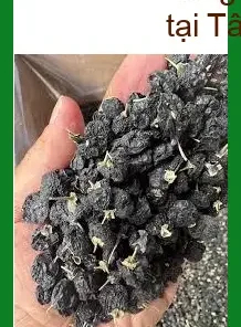 Hắc Kỷ Tử khô 500g - Anh Gia Huy Tây Thạnh bán sỉ lẻ, giao nhanh TPHCM