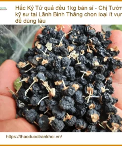 Hắc Kỷ Tử quả đều 1kg bán sỉ - Đơn vị cung cấp sỉ lẻ giao nhanh TPHCM