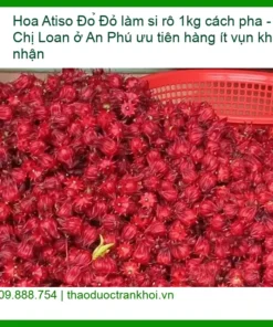 Hoa Atiso Đỏ làm si rô 1kg cách pha - Địa chỉ Bán Giao nhanh TPHCM