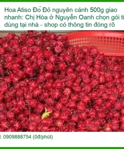 Hoa Atiso Đỏ nguyên cánh 500g giao nhanh - Địa chỉ Bán Giao nhanh TPHCM