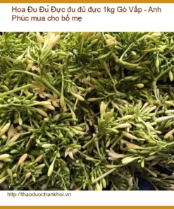 Hoa đu đủ đực 1kg Gò Vấp - Anh Phúc mua cho bố mẹ - Địa chỉ bán giao nhanh