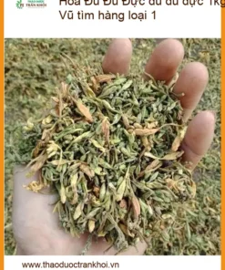 Hoa đu đủ đực 1kg Hóc Môn - Anh Vũ tìm hàng loại 1 - Đơn vị sỉ lẻ TPHCM