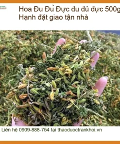 Hoa đu đủ đực 500g TPHCM - Chị Hạnh đặt giao tận nhà | Địa chỉ bán có sẵn