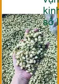 Hoa Nhài loại 1 1kg nguyên bông/vụn khu Tân Sơn Nhất - Địa chỉ Bán Giao nhanh