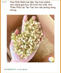 Hoa Nhài loại đẹp 1kg mua online - Địa chỉ cung cấp sỉ lẻ, giao nhanh TPHCM