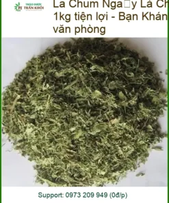 Lá Chùm Ngây khô đóng hũ 1kg tiện lợi - Địa chỉ Bán Giao nhanh TPHCM