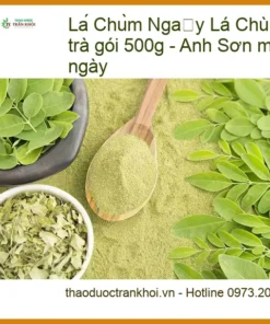Lá Chùm Ngây khô dùng pha trà gói 500g - Đơn vị Cung cấp Có sẵn TPHCM