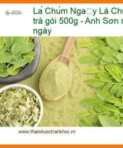 Lá Chùm Ngây khô dùng pha trà gói 500g - Cung cấp Có sẵn TPHCM