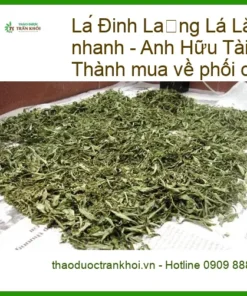 Lá Đinh Lăng khô sạch 500g giao nhanh - Địa chỉ bán giao nhanh TPHCM