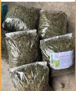 Lá Đinh Lăng nguyên lá 500g cách nấu nước - Địa chỉ bán giao nhanh TPHCM