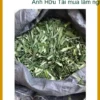 Lá Dứa bán lẻ 1kg cho quán nước - Đơn vị cung cấp sỉ lẻ giao nhanh tại TPHCM
