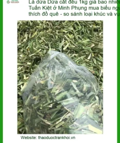 Lá Dứa cắt đều 1kg - Địa chỉ Bán Sỉ lẻ Giao nhanh TPHCM