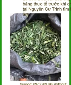 Lá Dứa cắt đều 1kg - Địa chỉ cung cấp sỉ lẻ, giao hàng nhanh tại TPHCM