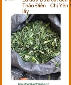 Lá Dứa cắt đều 1kg mua số lượng lớn tại Thảo Điền - Địa chỉ Bán Giao nhanh