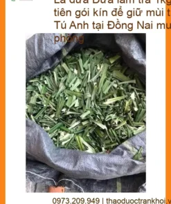 Lá Dứa làm trà 1kg - Gói kín giữ mùi thơm | Cung cấp Giao nhanh TPHCM