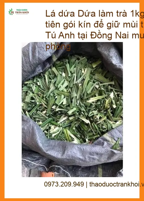 Lá Dứa làm trà 1kg - Gói kín giữ mùi thơm | Cung cấp Giao nhanh TPHCM