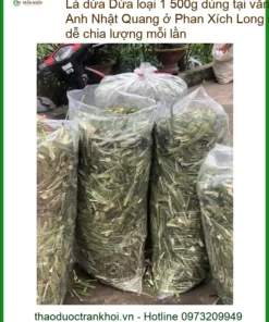 Lá Dứa loại 1 500g dùng tại văn phòng - Đơn vị cung cấp Lá Dứa tươi sỉ lẻ TPHCM