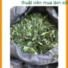 Lá Dứa Nấu Chè 500g Cắt Khúc/Nguyên Lá - Địa chỉ bán giao nhanh TPHCM