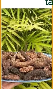 Mua Chuối Hạt Rừng Quận 11 chuẩn vị tự nhiên - Địa chỉ bán giao nhanh