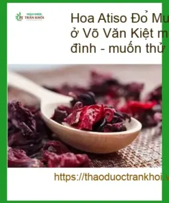 Hoa Atiso Đỏ pha trà 1kg Anh Thiện Võ Văn Kiệt - Địa chỉ Bán Giao nhanh HCM