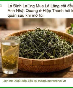 Mua Lá Đinh Lăng cắt đều 500g tại Hiệp Thành TPHCM - Địa chỉ Bán Sỉ lẻ Giao nhanh