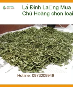 Mua Lá Đinh Lăng khô ở Quận 8 - Chú Hoàng chọn loại lá khô đều màu