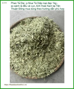 Phan Tả Diệp loại đẹp 1kg - so sánh lá đều và vụn - Địa chỉ bán có sẵn TPHCM