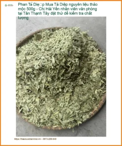 Phan Tả Diệp nguyên liệu thảo mộc 500g - Địa chỉ Bán Giao nhanh TPHCM