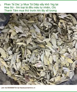 Phan Tả Diệp sấy khô 1kg tại Hoa Sứ - Địa chỉ bán giao nhanh TPHCM