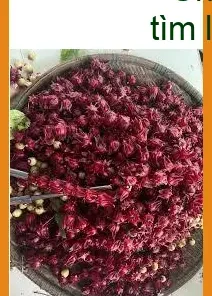 Nơi mua Hoa Atiso Đỏ khô cánh đẹp 500g - Địa chỉ bán giao nhanh TPHCM