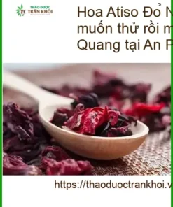 Nơi mua Hoa Atiso Đỏ làm si rô 1kg tại TPHCM - Địa chỉ Bán sỉ lẻ Giao nhanh