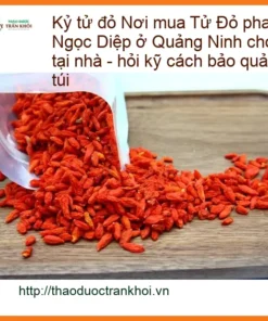 Kỷ Tử Đỏ pha trà 500g tiện dùng tại nhà - Đơn vị Bán Giao nhanh TPHCM