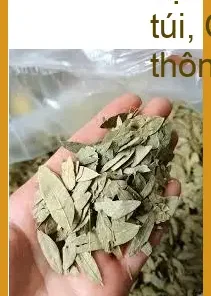 Nơi mua Phan Tả Diệp đóng gói sạch 500g - Địa chỉ bán giao nhanh TPHCM
