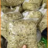 Phan Tả Diệp nguồn sỉ 500g tại Tân Chánh Hiệp - Địa chỉ bán giao nhanh TPHCM
