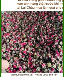 Nụ Hoa Hồng 1kg - Đơn vị Cung cấp Nụ Hoa Hồng Có sẵn tại TPHCM