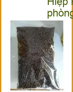 Nụ Vối 500g cho dân văn phòng Hiệp Phước - Địa chỉ bán giao nhanh TPHCM
